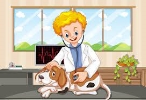 Vet Clinic Vector Art, Icons, and Graphics for Free Download